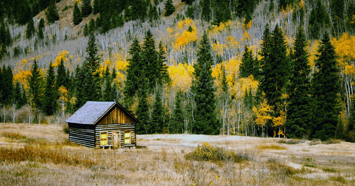 Best States For Living Off the Grid